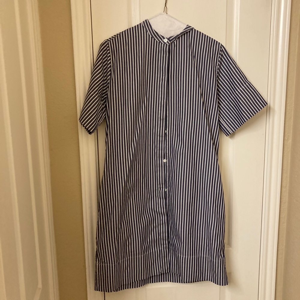 Everlane shirt dress